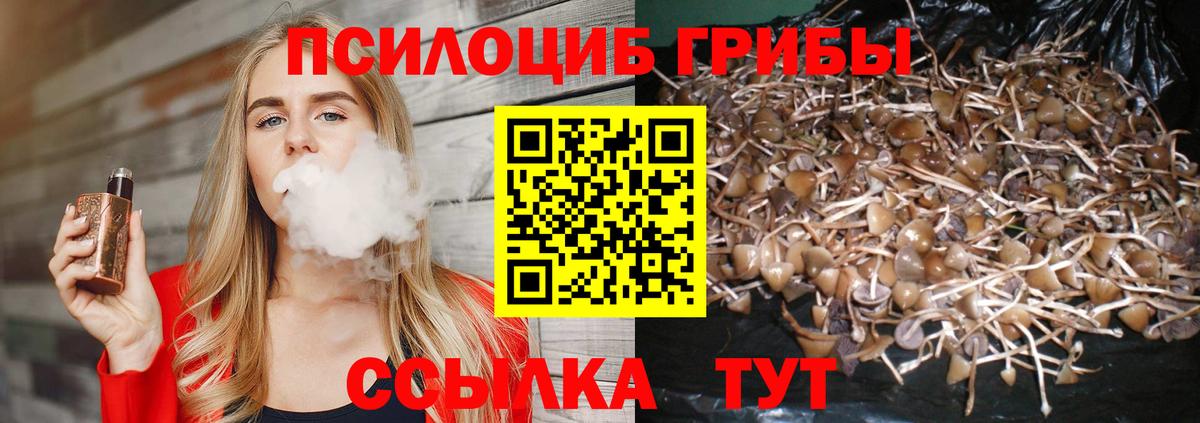 Бердск  Псилоцибиновые грибы мухоморы  Вход с VPN 