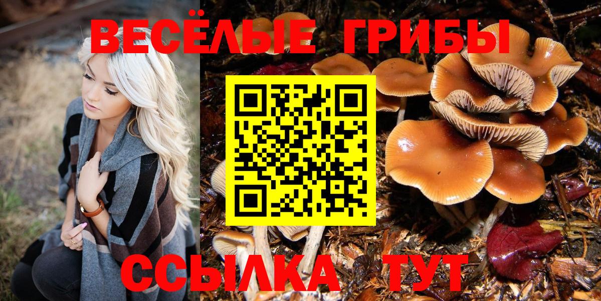 Галлюциногенные грибы прущие грибы Бердск